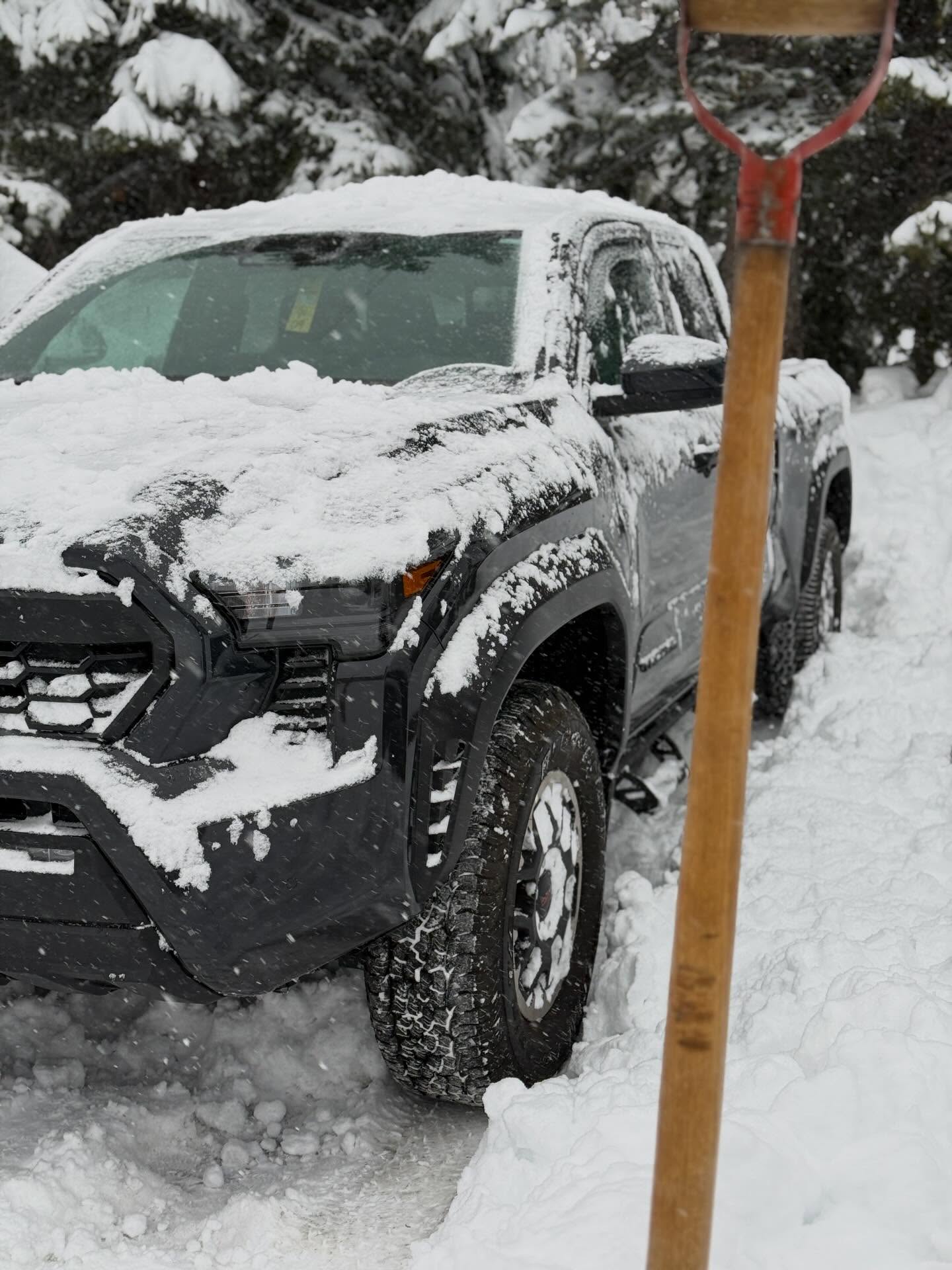 Snow 6